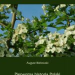 Pierwotna historia Polski — okładka e-booka