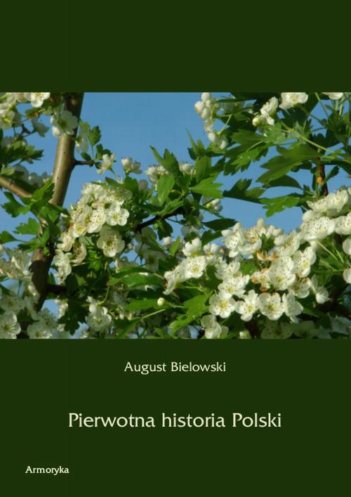 Pierwotna historia Polski — okładka e-booka