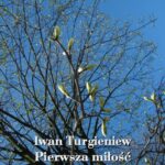 Tytuł: Pierwsza miłość
Autor: Iwan Turgieniew
Wydawnictwo: Armoryka
Formaty: MOBI, EPUB