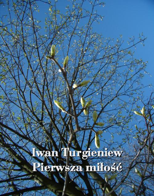 Tytuł: Pierwsza miłość
Autor: Iwan Turgieniew
Wydawnictwo: Armoryka
Formaty: MOBI, EPUB