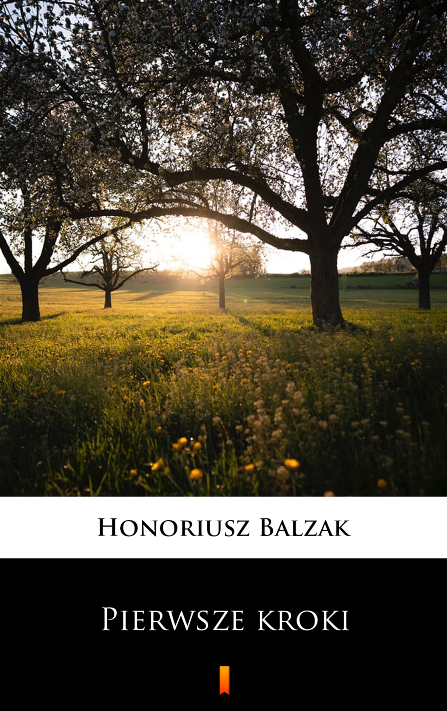 Tytuł: Pierwsze kroki
Autor: Honoriusz Balzak
Wydawnictwo: KtoCzyta.pl
Formaty: EPUB, MOBI