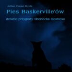 Pies Baskerville'ów — okładka e-booka