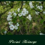 Tytuł: Pieśni
Autor: Heinrich Heine
Wydawnictwo: Armoryka
Formaty: EPUB, MOBI