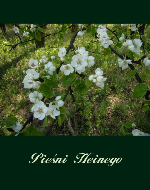 Tytuł: Pieśni
Autor: Heinrich Heine
Wydawnictwo: Armoryka
Formaty: EPUB, MOBI