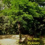 Pieśniarz — okładka e-booka