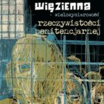 Podkultura więzienna wielowymiarowość rzeczywistości penitencjarnej — okładka e-booka