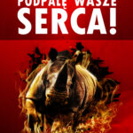 Tytuł: Podpalę wasze serca!
Autor: Marcin Brzostowski
Wydawnictwo: Ebookowo
Formaty: EPUB, MOBI