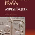 Podstawy socjologii prawa — okładka e-booka