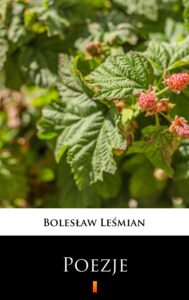 Poezje. Wybór — okładka e-booka