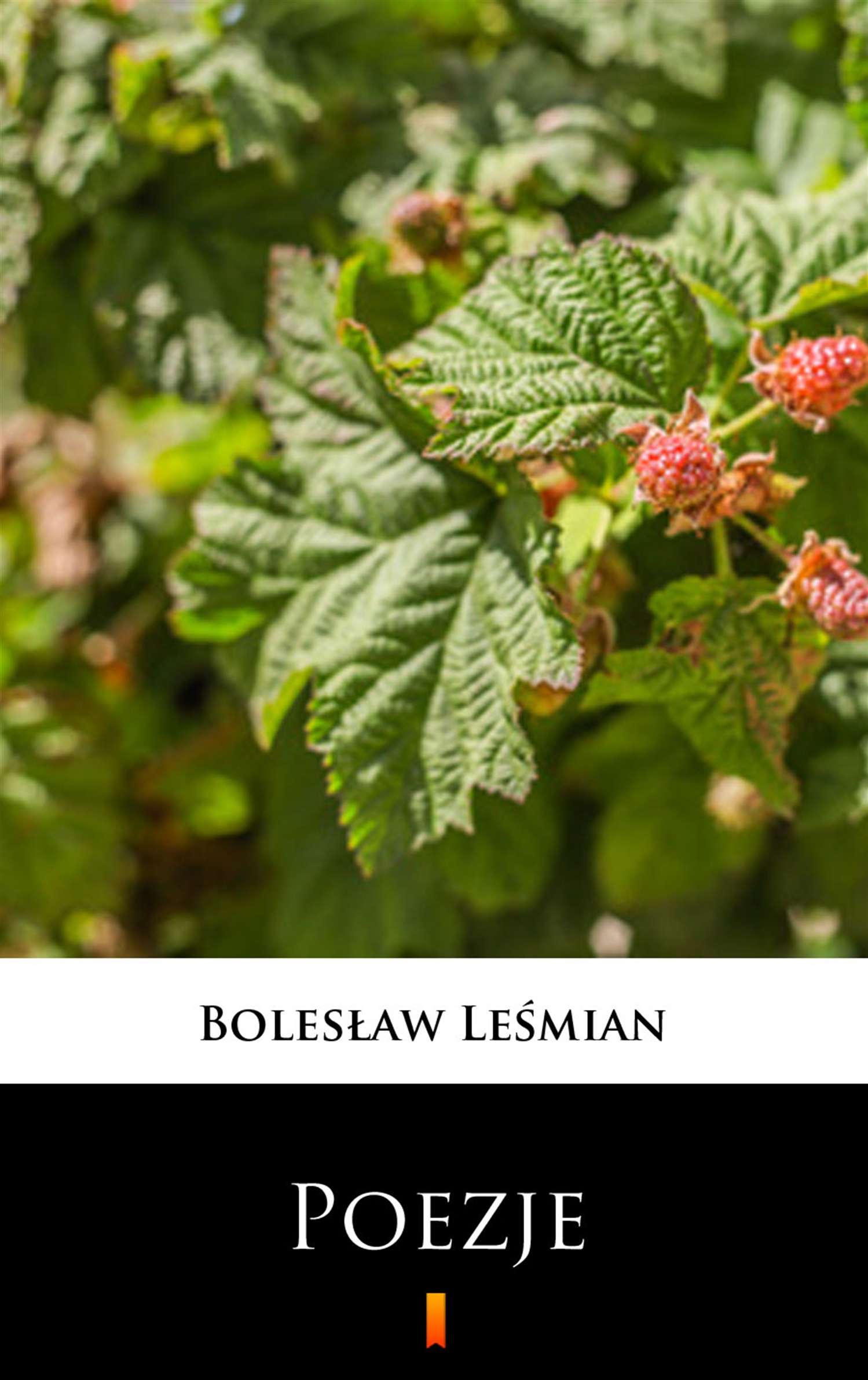 Tytuł: Poezje. Wybór
Autor: Bolesław Leśmian
Wydawnictwo: KtoCzyta.pl
Formaty: EPUB, MOBI