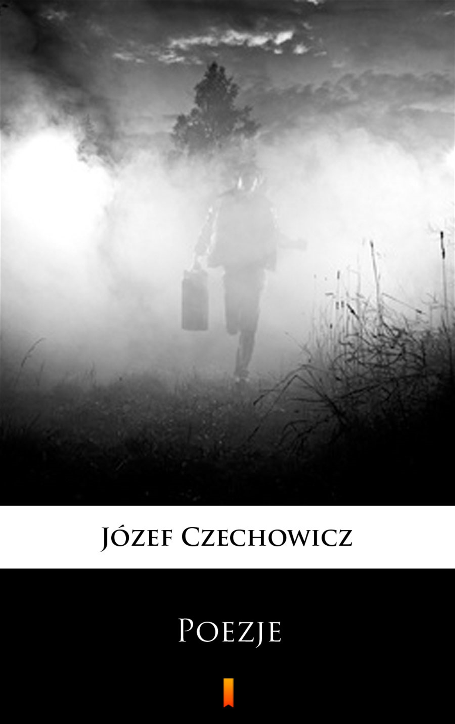 Poezje. Wybór — okładka e-booka