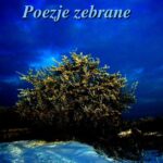 Tytuł: Poezje zebrane
Autor: Andrzej Sarwa
Wydawnictwo: Armoryka
Formaty: PDF