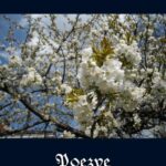 Poezye — okładka e-booka
