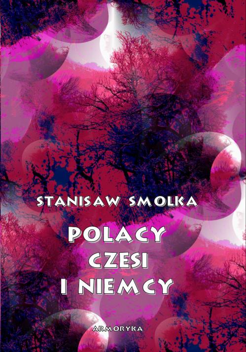 Polacy, Czesi i Niemcy — okładka e-booka