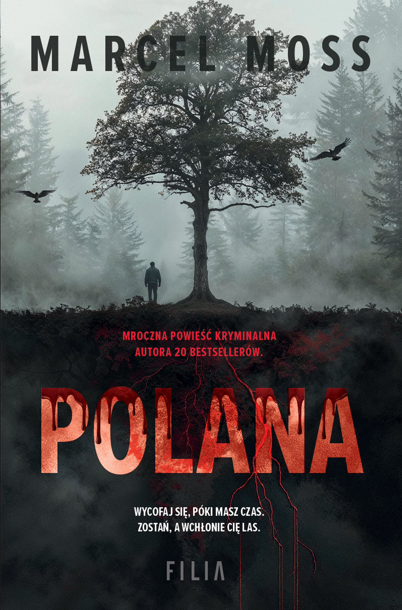 Tytuł: Polana
Autor: Marcel Moss
Wydawnictwo: FILIA
Formaty: EPUB, MOBI