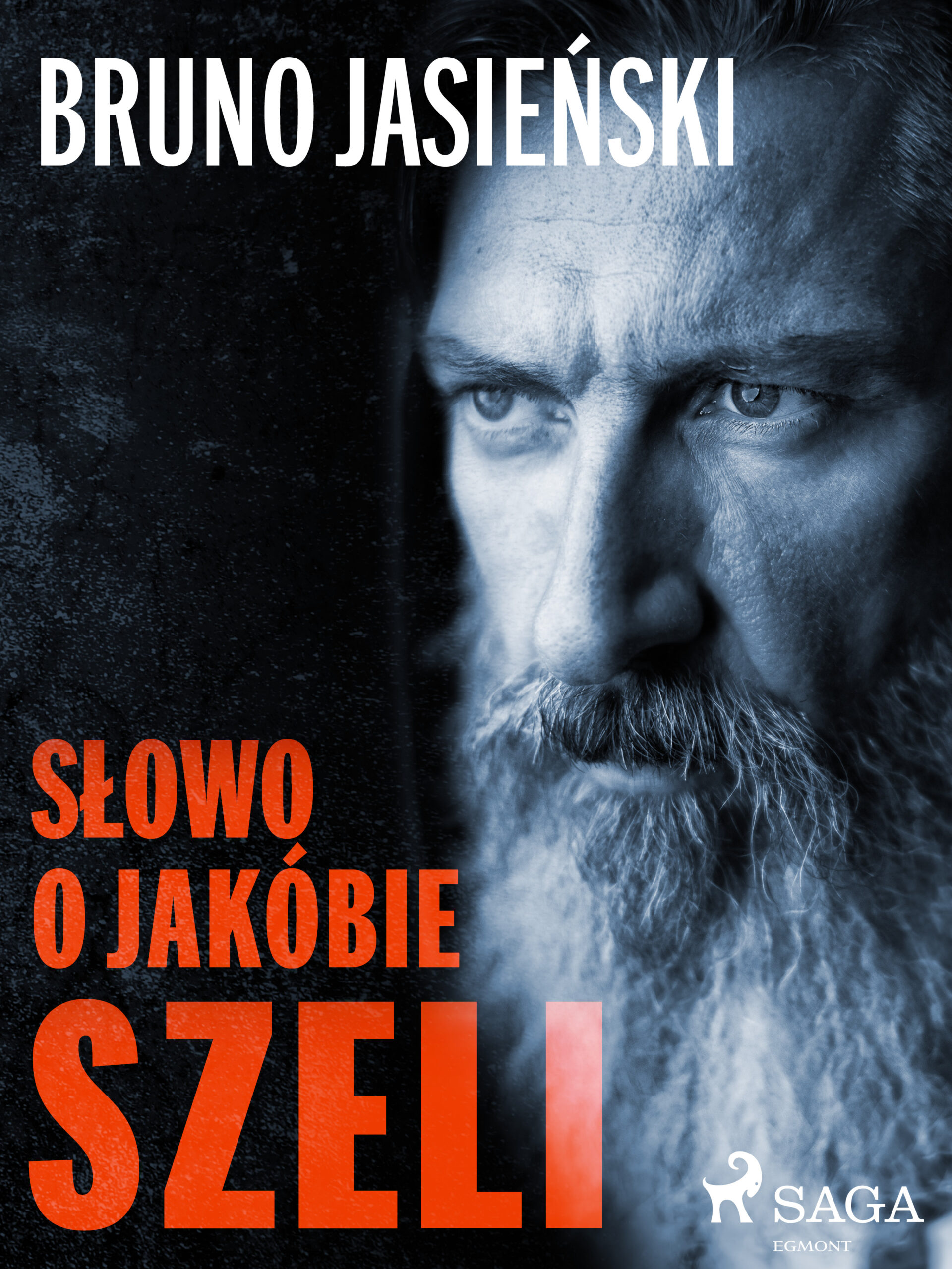 Tytuł: Polish Classics. Słowo o Jakóbie Szeli
Autor: Jasieński Bruno
Wydawnictwo: SAGA Egmont
Formaty: EPUB, MOBI