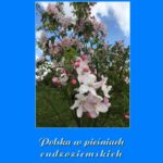 Tytuł: Polska w pieśniach cudzoziemskich
Autor: Antologia
Wydawnictwo: Armoryka
Formaty: MOBI, EPUB