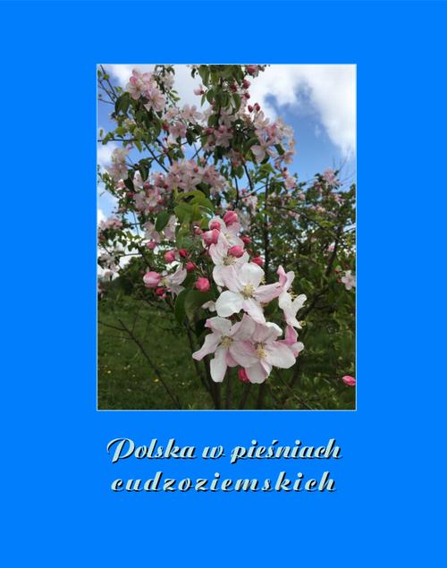 Tytuł: Polska w pieśniach cudzoziemskich
Autor: Antologia
Wydawnictwo: Armoryka
Formaty: MOBI, EPUB