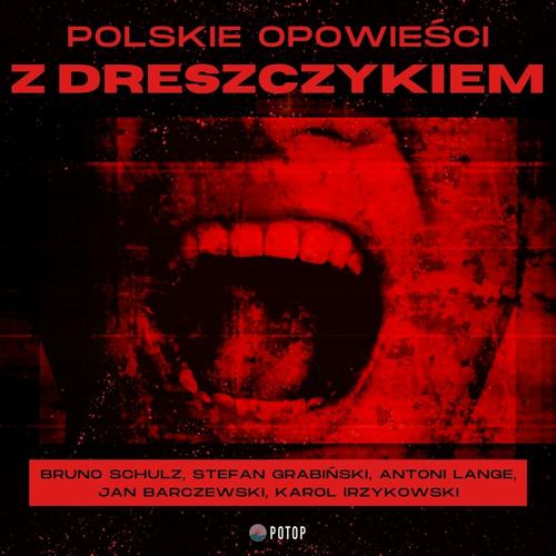 Polskie opowieści z dreszczykiem — okładka audiobooka