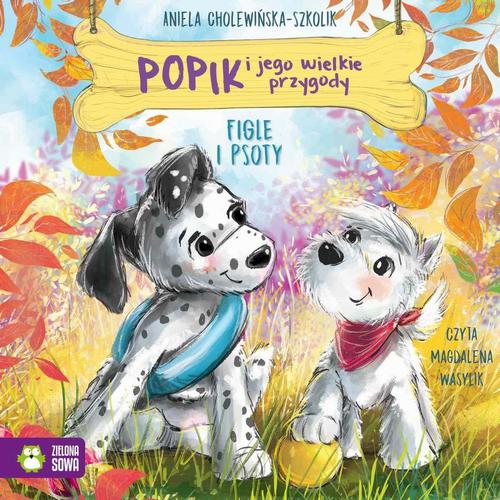 Tytuł: Popik i jego wielkie przygody. Figle i psoty
Autor: Aniela Cholewińska-Szkolik
Wydawnictwo: Zielona Sowa
Formaty: MP3