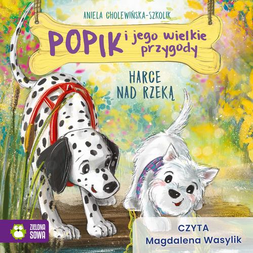 Tytuł: Popik i jego wielkie przygody. Harce nad rzeką
Autor: Aniela Cholewińska-Szkolik
Wydawnictwo: Zielona Sowa
Formaty: MP3