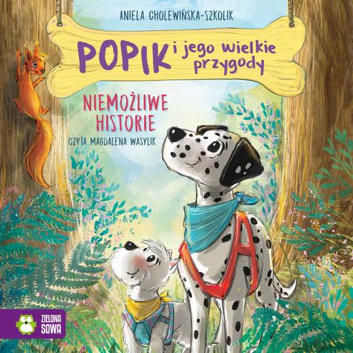 Tytuł: Popik i jego wielkie przygody. Niemożliwe historie
Autor: Aniela Cholewińska-Szkolik
Wydawnictwo: Zielona Sowa
Formaty: MP3