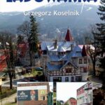Tytuł: Poradnik operatora Ładowarka
Autor: Grzegorz Koselnik
Wydawnictwo: Grafton Projekt
Formaty: PDF