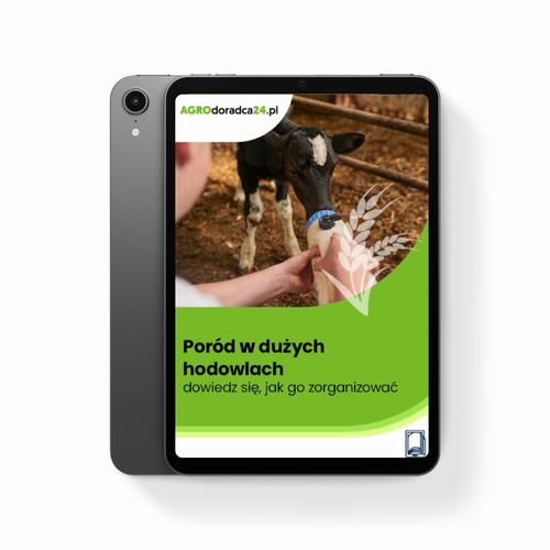 Tytuł: Poród w dużych hodowlach – dowiedz się, jak go zorganizować
Autor: Joanna Cała
Wydawnictwo: Wiedza i Praktyka
Formaty: PDF