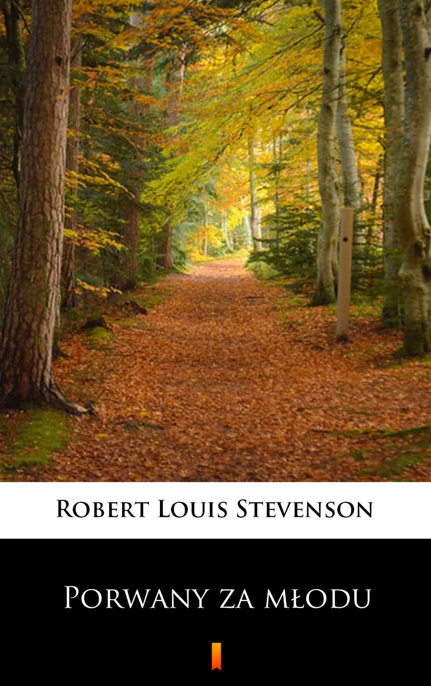 Tytuł: Porwany za młodu
Autor: Robert Louis Stevenson
Wydawnictwo: KtoCzyta.pl
Formaty: EPUB, MOBI
