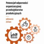 Potencjał odporności organizacyjnej przedsiębiorstw produkcyjnych - odlewnie żeliwa — okładka e-booka