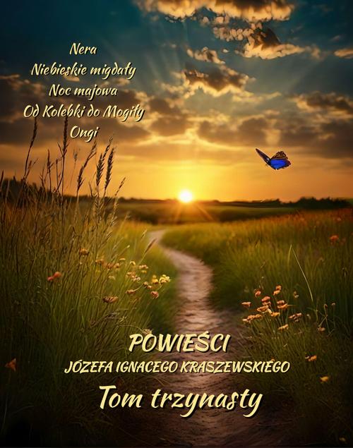 Powieści Józefa Ignacego Kraszewskiego. Tom 13 — okładka e-booka