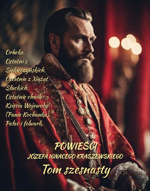Powieści Józefa Ignacego Kraszewskiego. Tom 16 — okładka e-booka