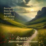 Powieści Józefa Ignacego Kraszewskiego. Tom 2 — okładka e-booka