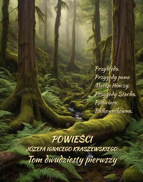 Tytuł: Powieści Józefa Ignacego Kraszewskiego. Tom 21
Autor: Józef Ignacy Kraszewski
Wydawnictwo: Armoryka
Formaty: EPUB, MOBI