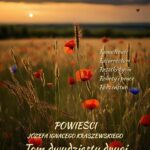 Powieści Józefa Ignacego Kraszewskiego. Tom 22 — okładka e-booka