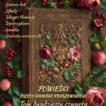 Powieści Józefa Ignacego Kraszewskiego. Tom 24 — okładka e-booka