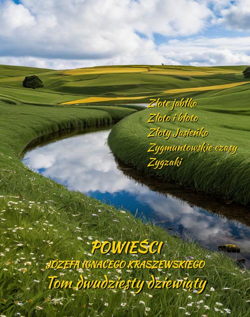 Tytuł: Powieści Józefa Ignacego Kraszewskiego. Tom 29
Autor: Józef Ignacy Kraszewski
Wydawnictwo: Armoryka
Formaty: EPUB, MOBI