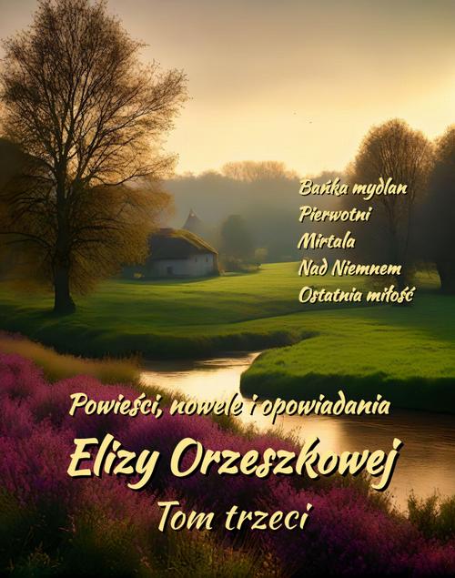 Tytuł: Powieści, nowele i opowiadania Elizy Orzeszkowej. Tom III
Autor: Eliza Orzeszkowa
Wydawnictwo: Armoryka
Formaty: EPUB, MOBI