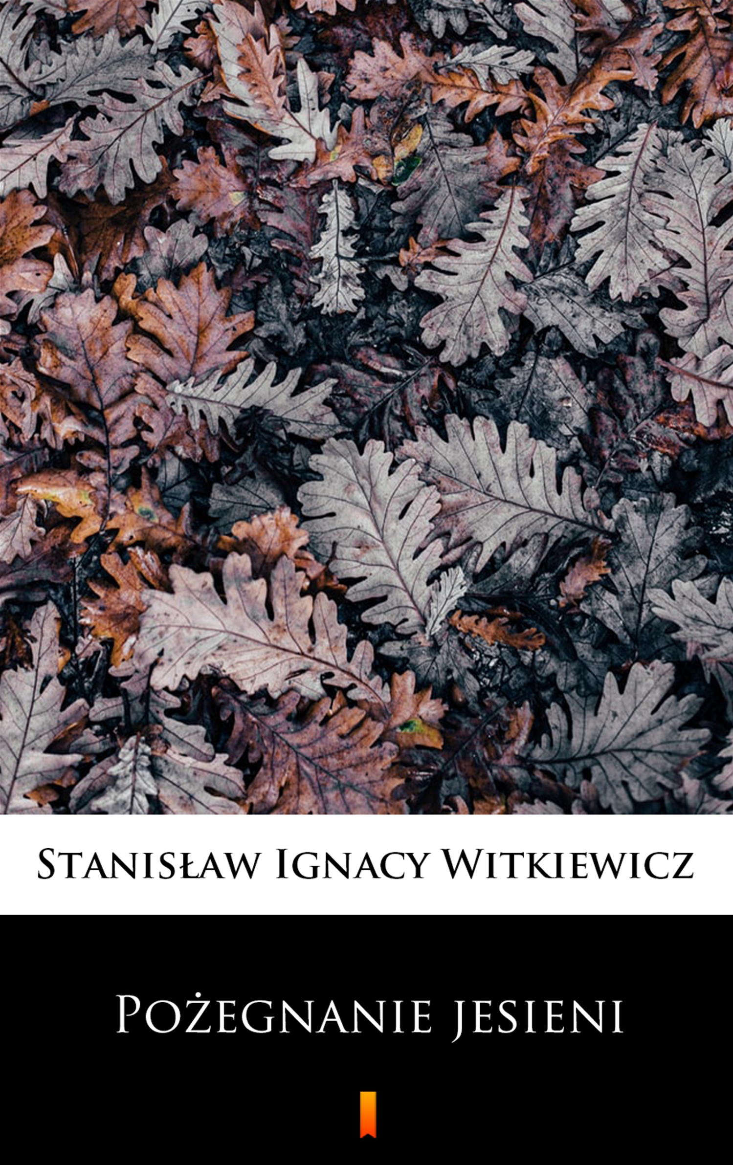 Tytuł: Pożegnanie jesieni
Autor: Stanisław Ignacy Witkiewicz
Wydawnictwo: KtoCzyta.pl
Formaty: EPUB, MOBI