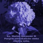Pożycie mieszkańców nieba między sobą. Obcowanie ich z nami. — okładka e-booka