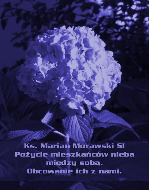 Pożycie mieszkańców nieba między sobą. Obcowanie ich z nami. — okładka e-booka