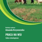 Praca na wsi. Szkice etnologiczne — okładka e-booka