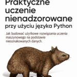 Praktyczne uczenie nienadzorowane przy użyciu języka Python — okładka e-booka