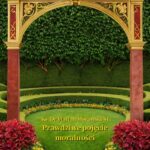 Tytuł: Prawdziwe pojęcie moralności
Autor: Ks. Dr Marian Morawski SJ
Wydawnictwo: Armoryka
Formaty: MOBI, EPUB
