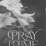 Tytuł: Pray for Me
Autor: Aleksandra Maras
Wydawnictwo: NieZwykłe
Formaty: MOBI, EPUB