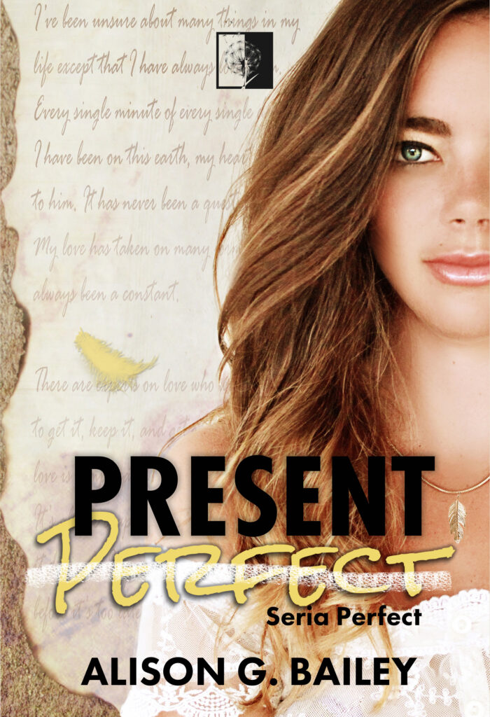 Present Perfect — okładka