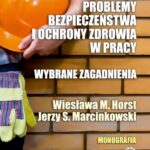 Problemy bezpieczeństwa i ochrony zdrowia w pracy. Wybrane zagadnienia — okładka e-booka