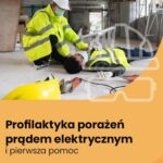 Tytuł: Profilaktyka porażeń prądem elektrycznym i pierwsza pomoc
Autor: Adam Maciej Pietrzak
Wydawnictwo: Wiedza i Praktyka
Formaty: PDF