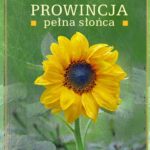Tytuł: Prowincja pełna słońca
Autor: Katarzyna Enerlich
Wydawnictwo: MG
Formaty: EPUB, MOBI