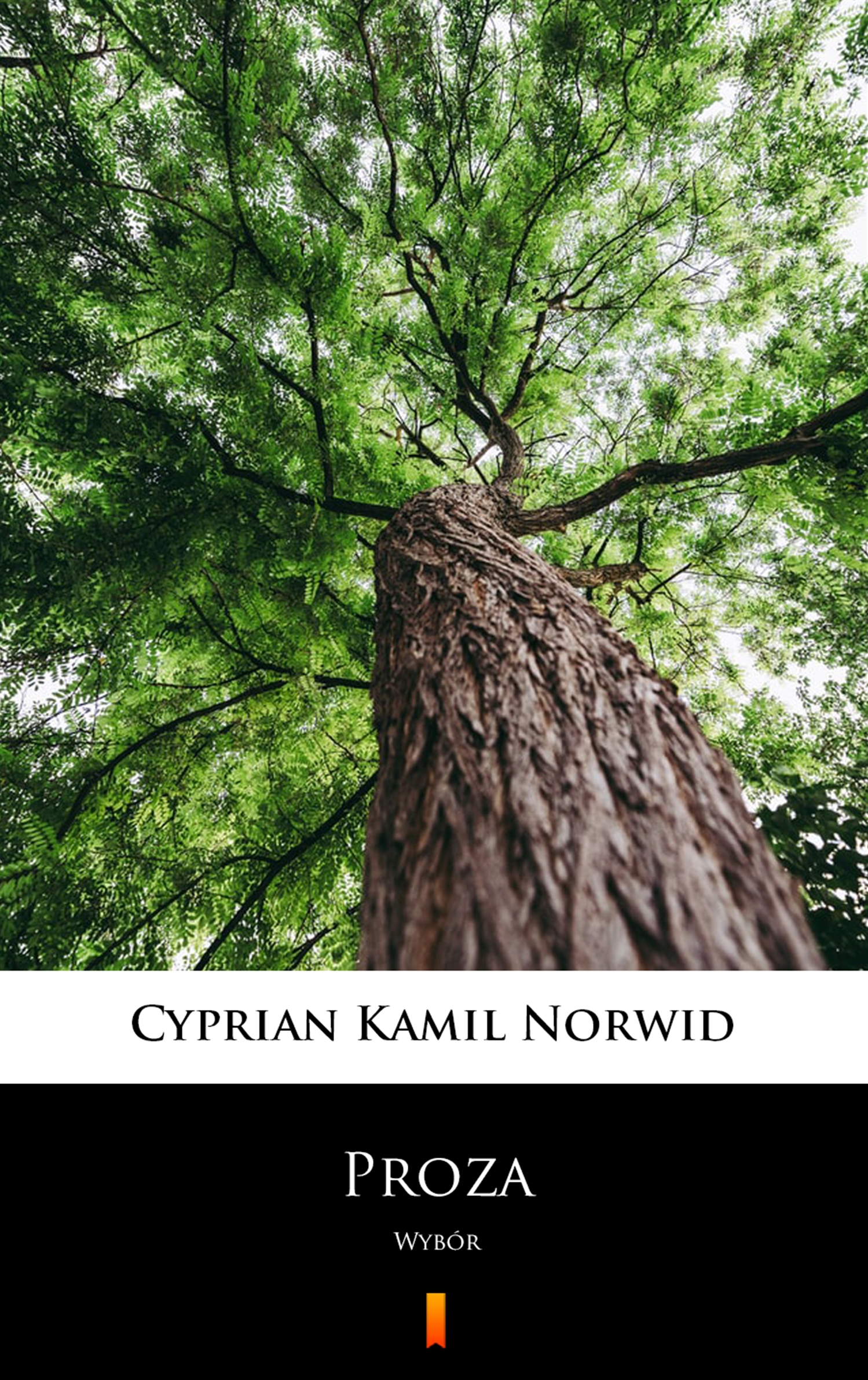 Tytuł: Proza. Wybór
Autor: Cyprian Kamil Norwid
Wydawnictwo: KtoCzyta.pl
Formaty: EPUB, MOBI
